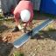 Randbekisting GSS 240 (paars) - lengte 240 cm
